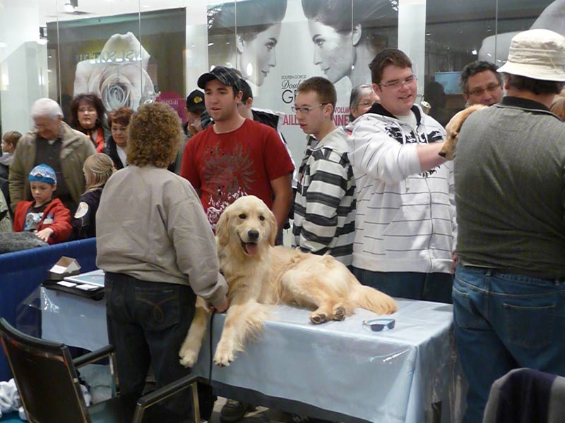 5e Salon Info-canin:Frénésie canine au Carrefour Saint-Georges