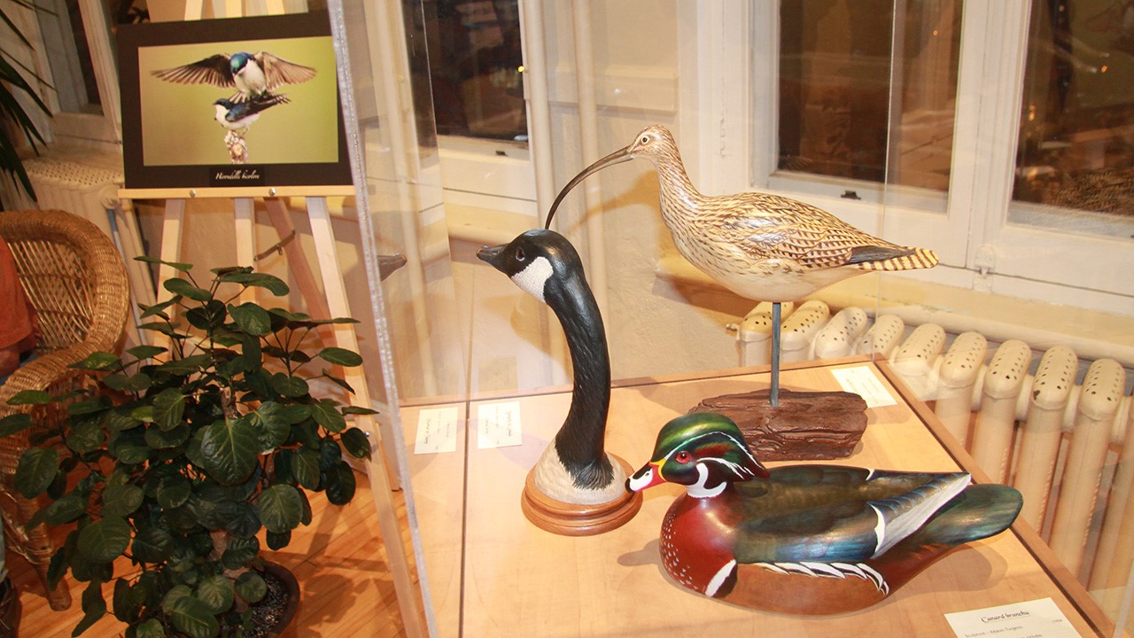 rturgeon