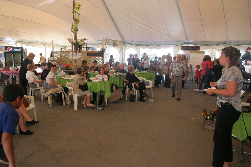 conference