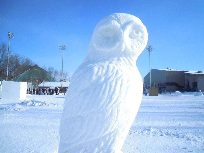 Sculpture_anneau_10 : 