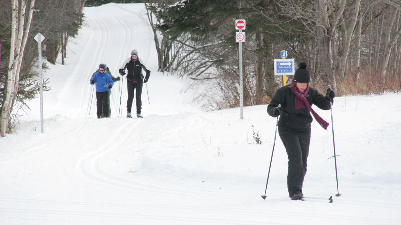 ski1