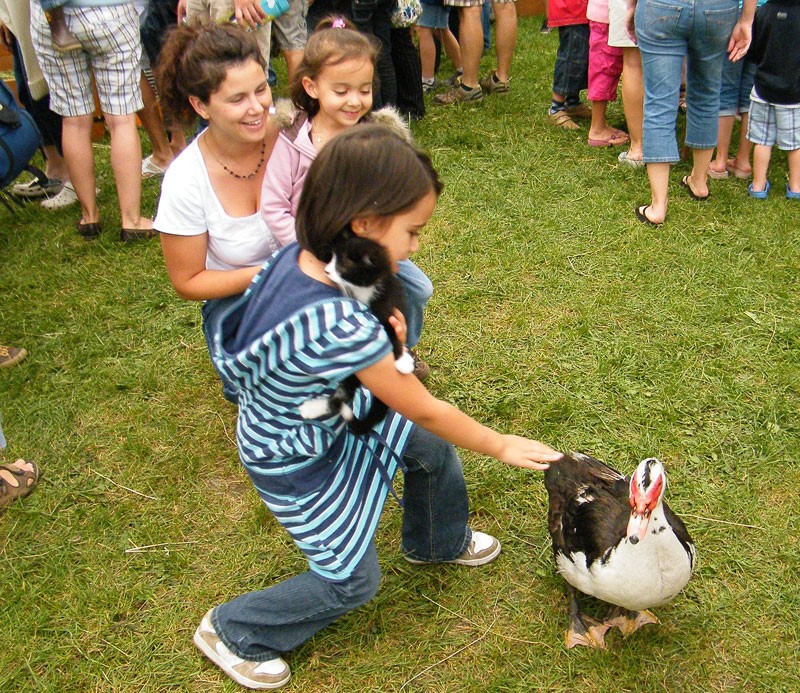 Quand l'humain rencontre l'animal de ferme