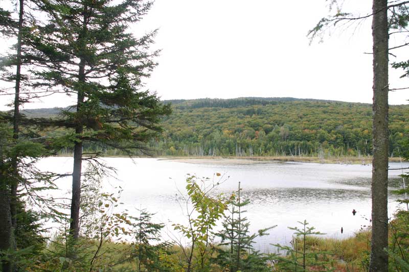 De nouvelles attractions au Festival western de Saint-Robert