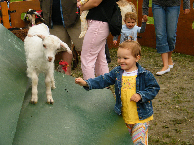 Quand l'humain rencontre l'animal de ferme