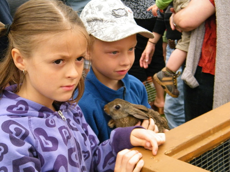 Quand l'humain rencontre l'animal de ferme