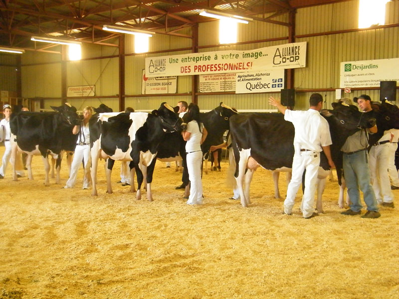 Le domaine agricole attire une foule impressionnante