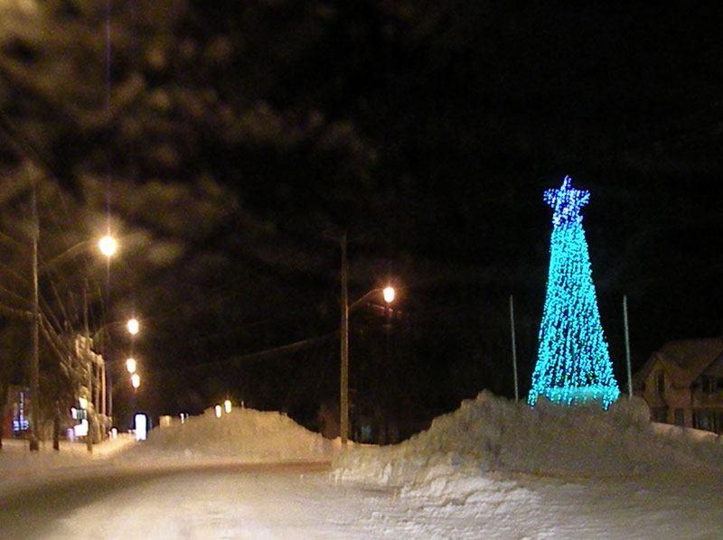 323