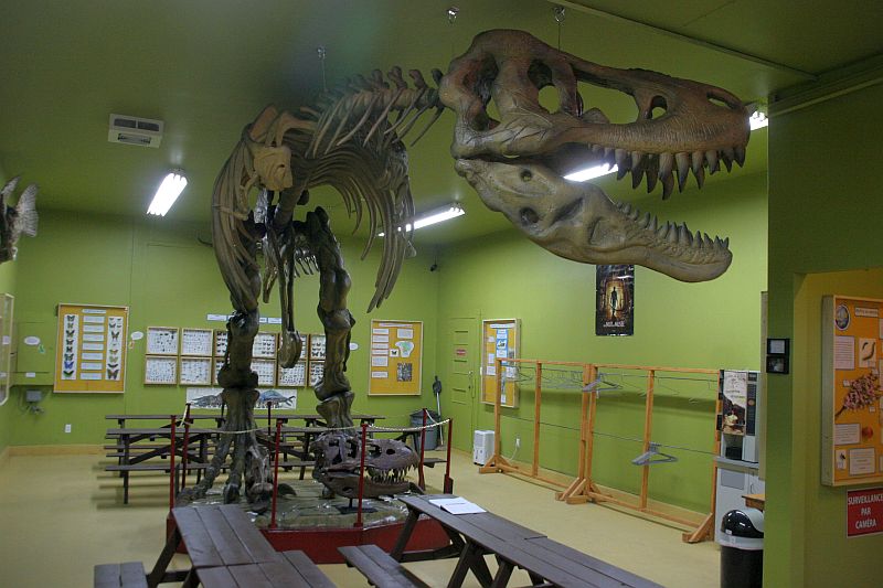 trex