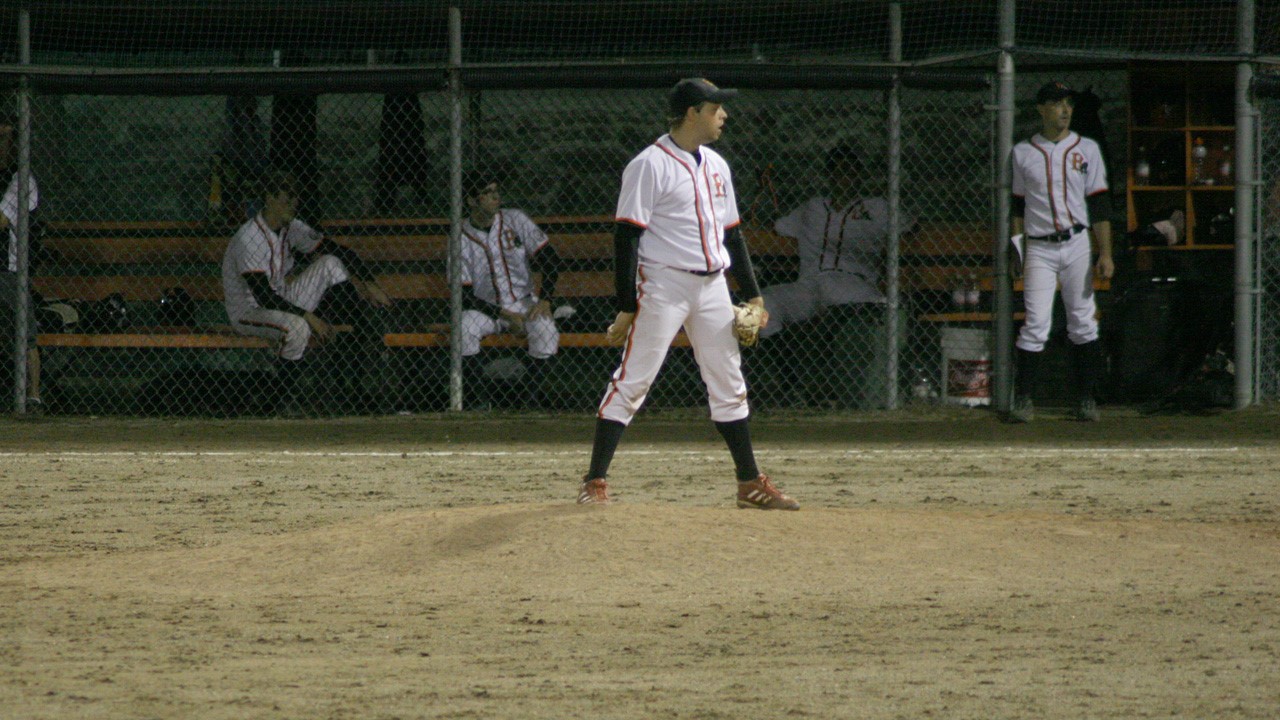 david