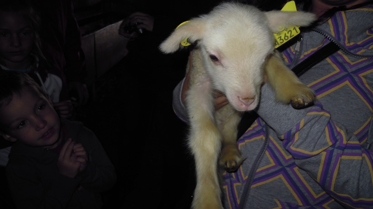 Ferme_Bero2 :