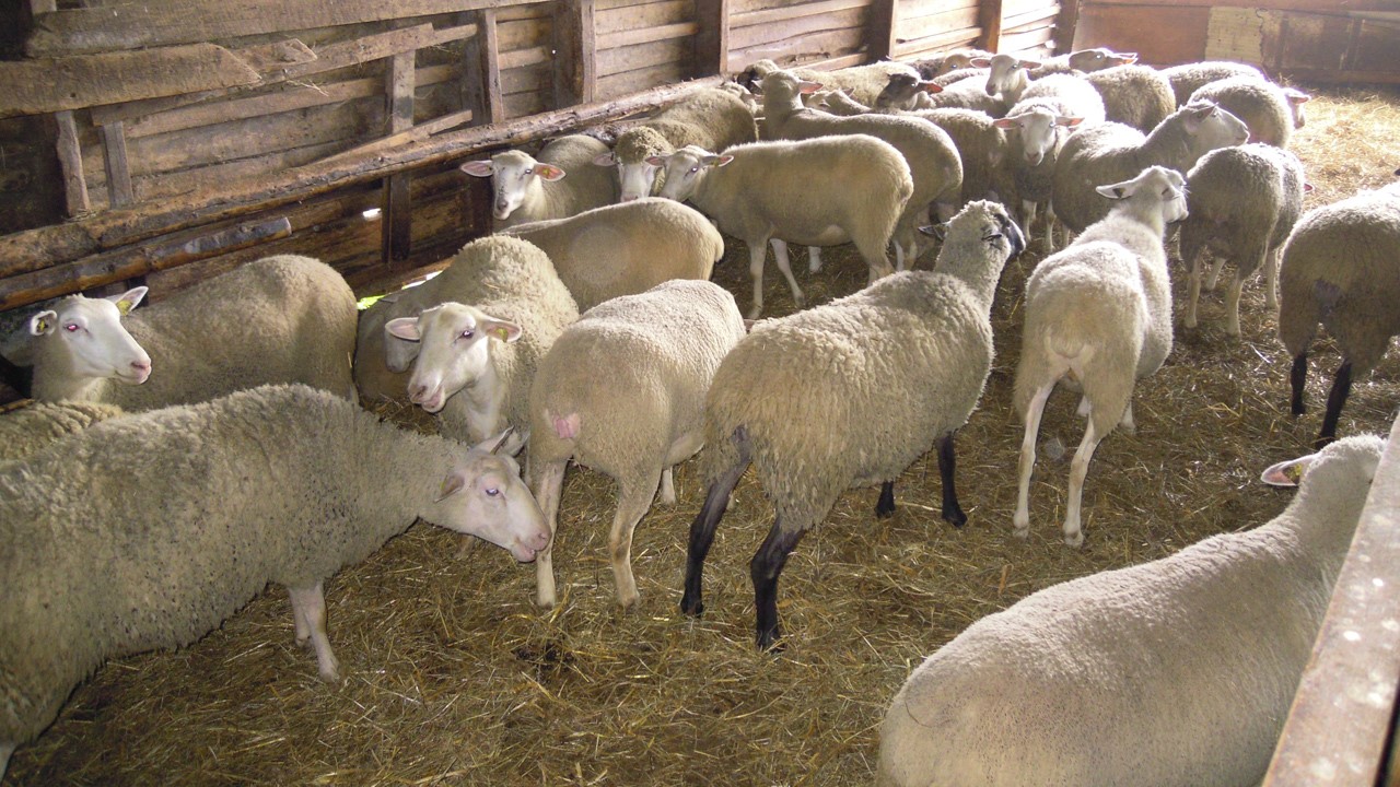 Ferme_Bero5 :